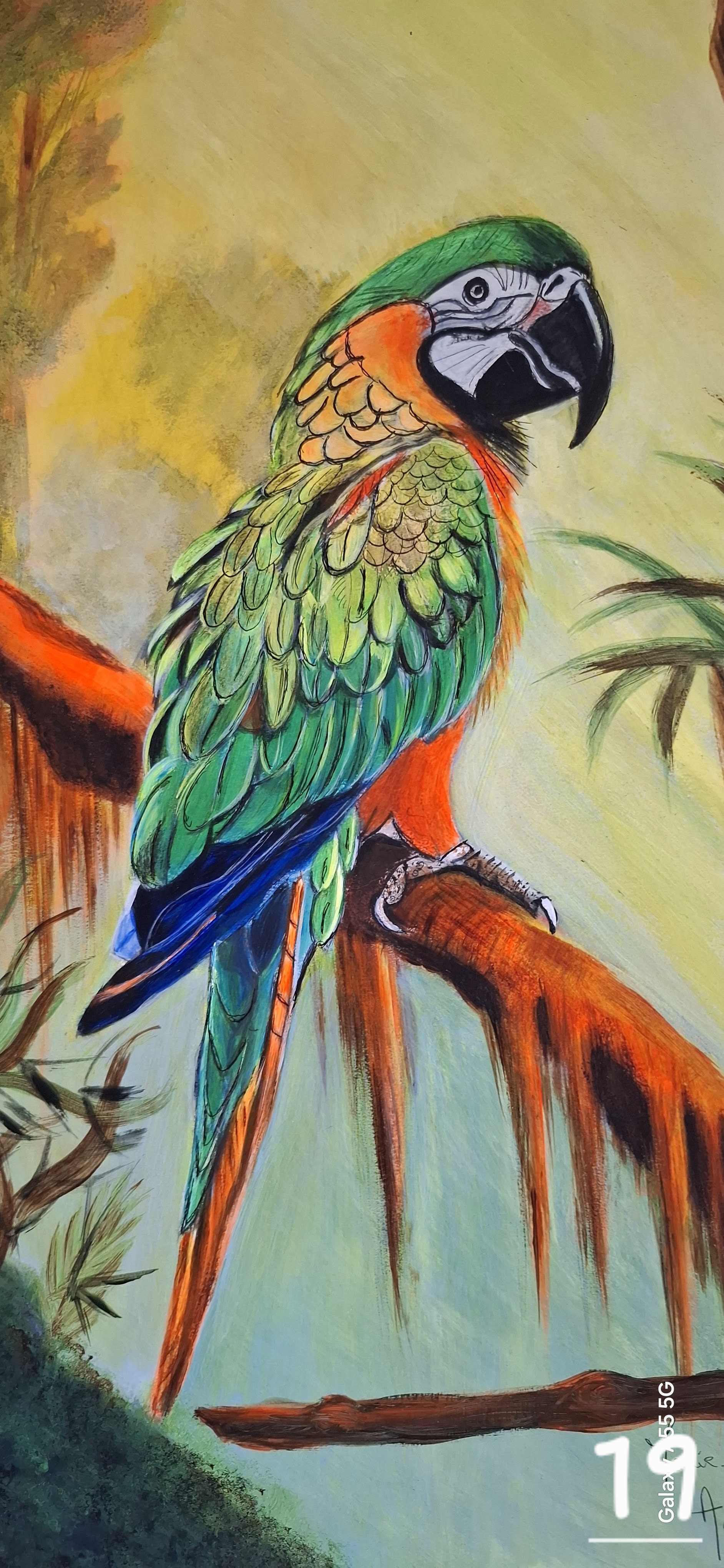 Oiseau vert des îles - Pastel sec 22x40 par Marie-Ange Amatulli